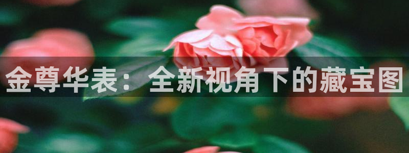 新航娱乐公司招聘信息网:金尊华表:全新视角下的藏宝图