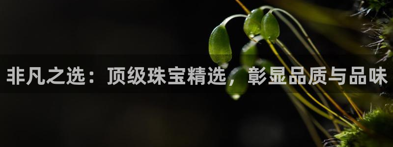 辽宁新航文化娱乐传媒:非凡之选:顶级珠宝精选,彰显品质与品味