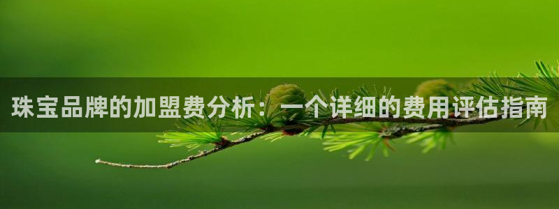 新航国际娱乐:珠宝品牌的加盟费分析:一个详细的费用评估指南