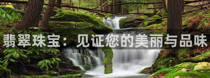 新航娱乐app官方下载:翡翠珠宝:见证您的美丽与品味