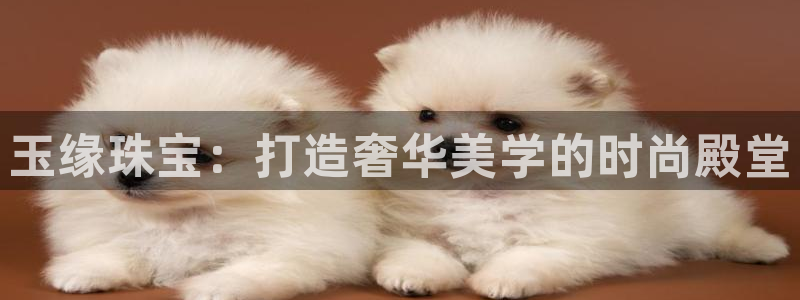 新航面试娱乐:玉缘珠宝:打造奢华美学的时尚殿堂