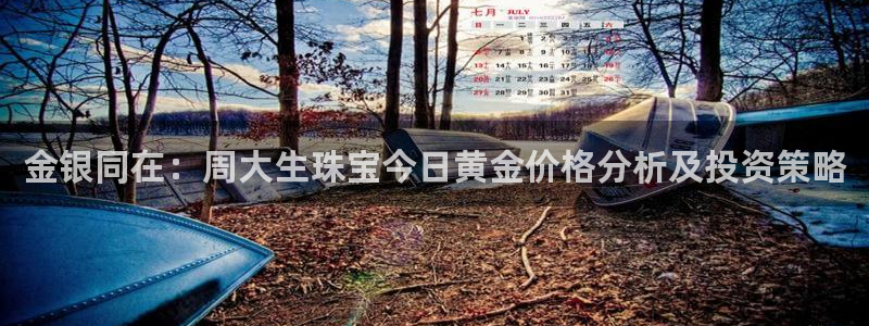 新航娱乐网址:金银同在:周大生珠宝今日黄金价格分析及投资策略