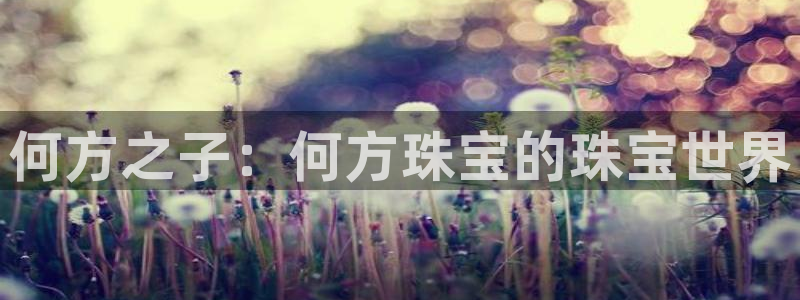 新航娱乐招商:何方之子:何方珠宝的珠宝世界