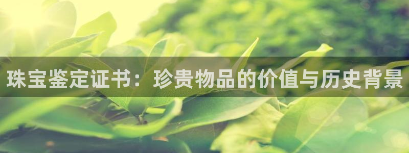 新航娱乐集团最新消息:珠宝鉴定证书:珍贵物品的价值与历史背景