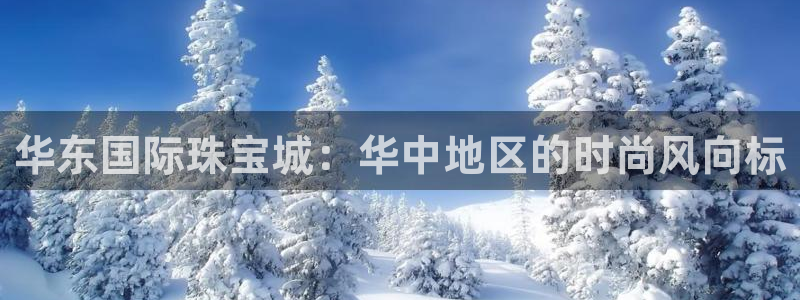 新航娱乐公司简介图片:华东国际珠宝城:华中地区的时尚风向标