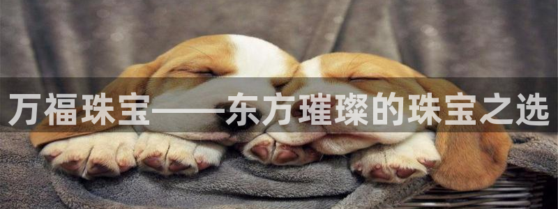 新航娱乐是干嘛的:万福珠宝——东方璀璨的珠宝之选