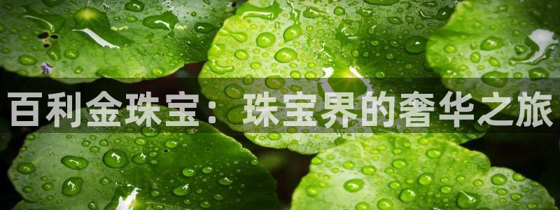 新航娱乐app下载安卓:百利金珠宝:珠宝界的奢华之旅