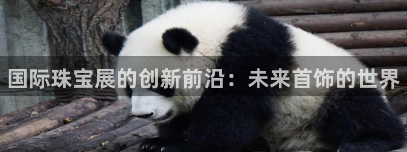 新航娱乐被投诉的原因:国际珠宝展的创新前沿:未来首饰的世界